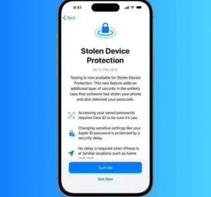 临沧苹果授权维修店分享被盗设备保护功能开启方法 