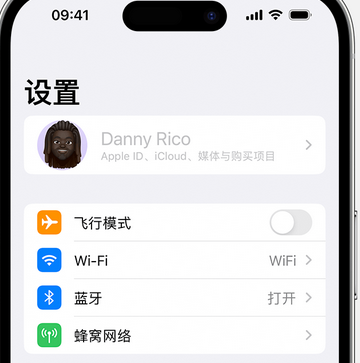 临沧appleID维修服务iPhone设置中Apple ID显示为灰色无法使用