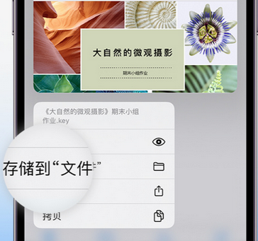 临沧apple维修中心分享iPhone文件应用中存储和找到下载文件