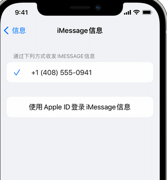 临沧apple维修iPhone上无法正常发送iMessage信息 