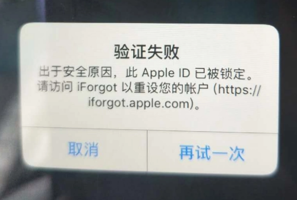 临沧iPhone维修分享iPhone上正常登录或使用AppleID怎么办 