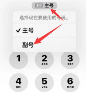 临沧苹果14维修店分享iPhone 14 Pro Max使用副卡打电话的方法 