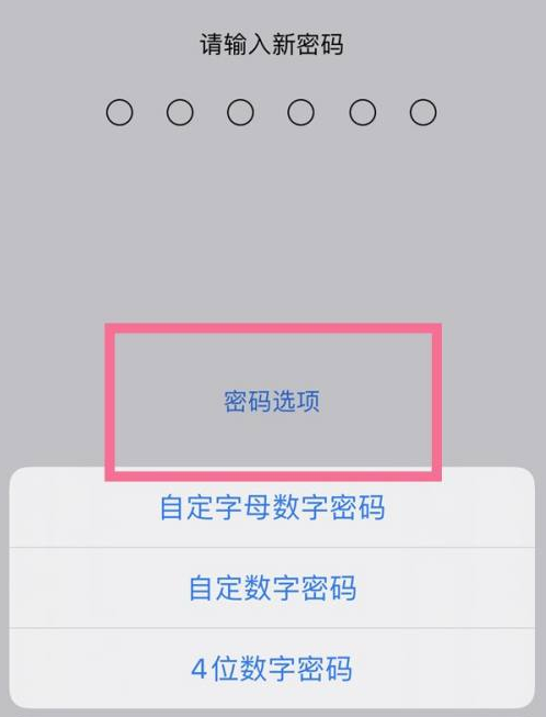 临沧苹果14维修分享iPhone 14plus设置密码的方法 