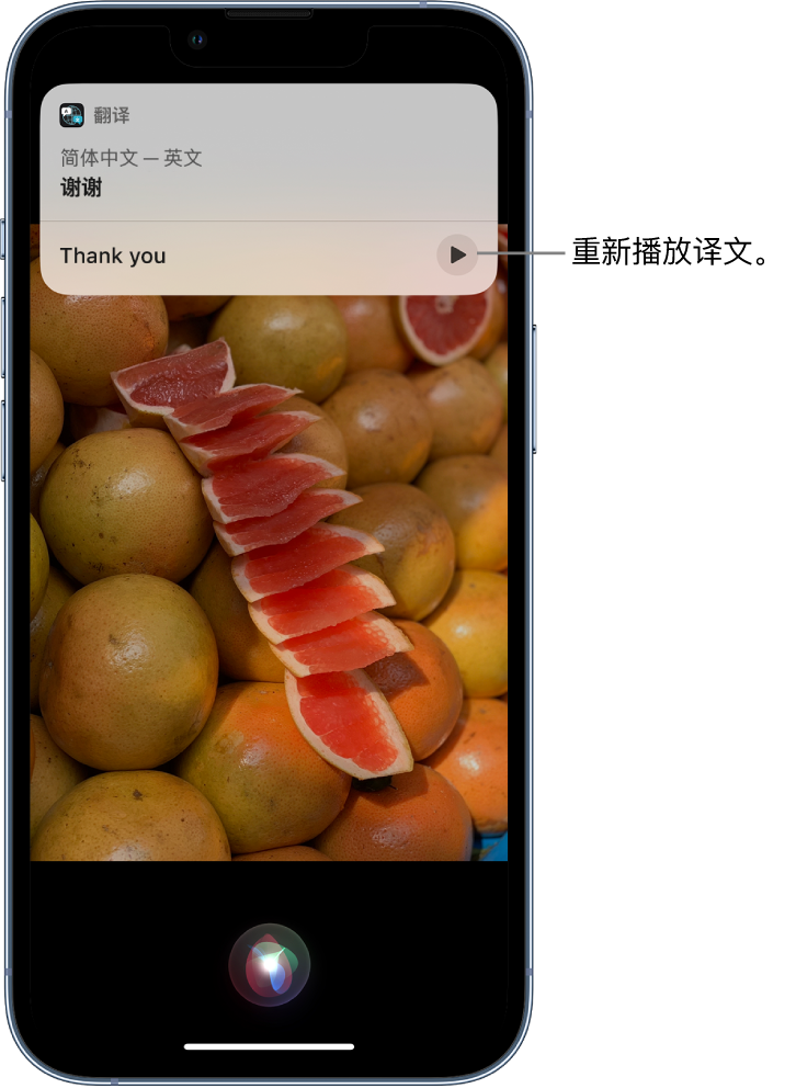 临沧苹果14维修分享 iPhone 14 机型中使用 Siri：了解 Siri 能帮你做什么 