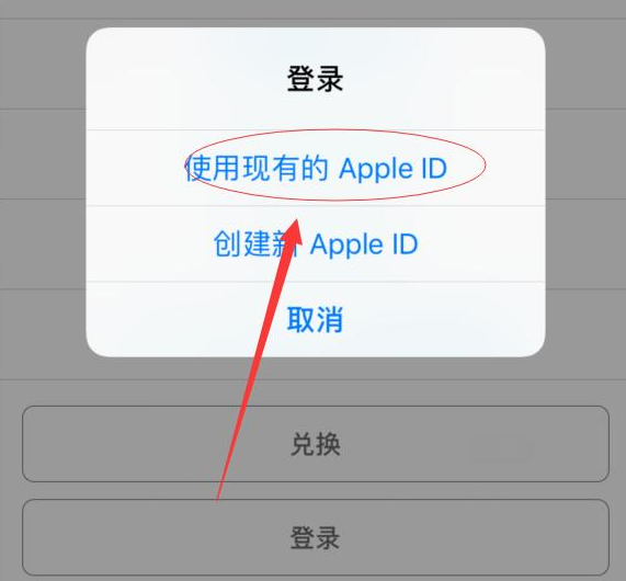 临沧苹果手机维修分享两台iPhone设备可以同时登录一个Apple ID吗 