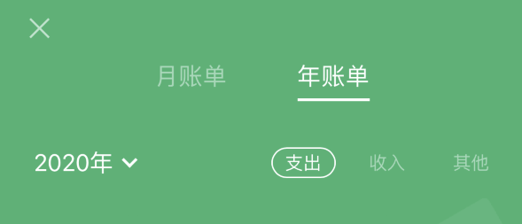 临沧苹果手机维修分享如何在 iPhone 上查看支付宝和微信年支出账单 